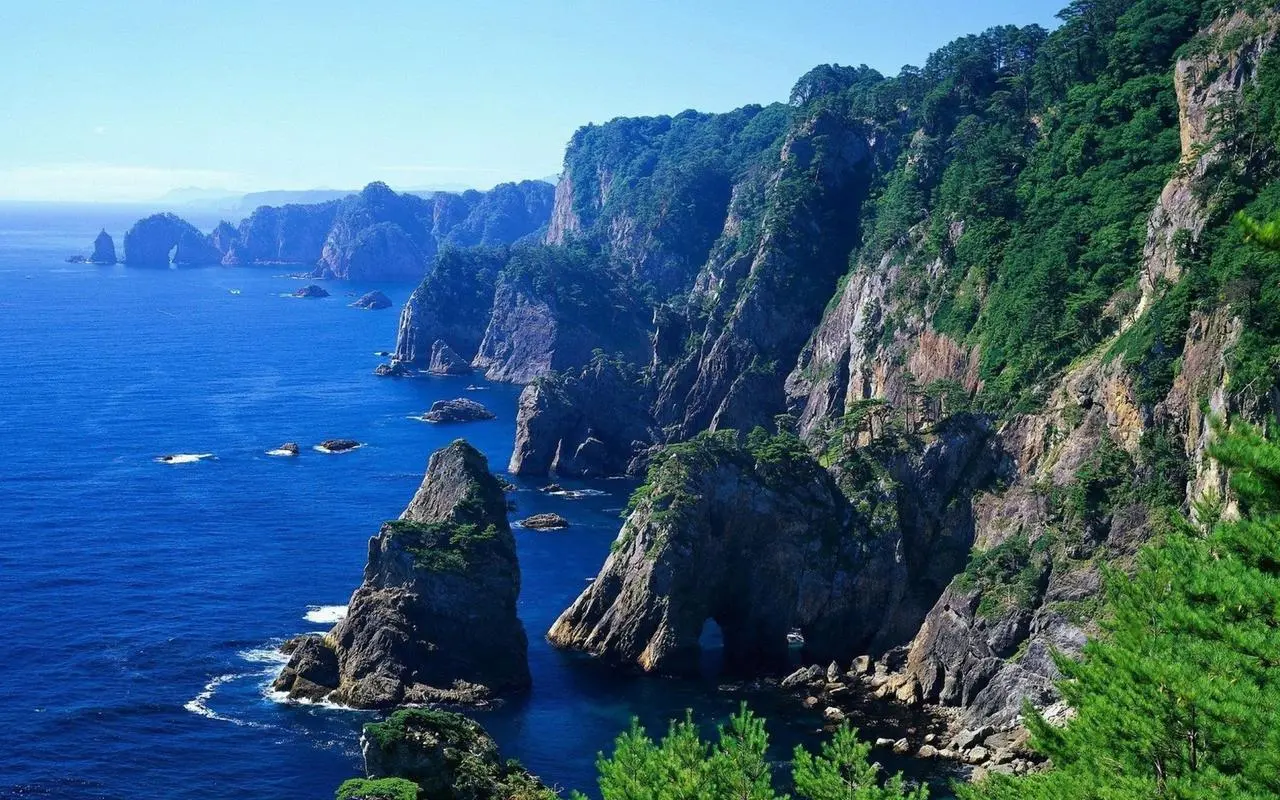 高标准全自动高标准